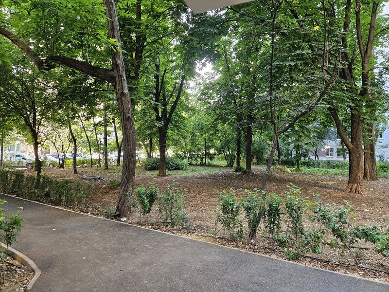 Drumul Taberei, Favorit,