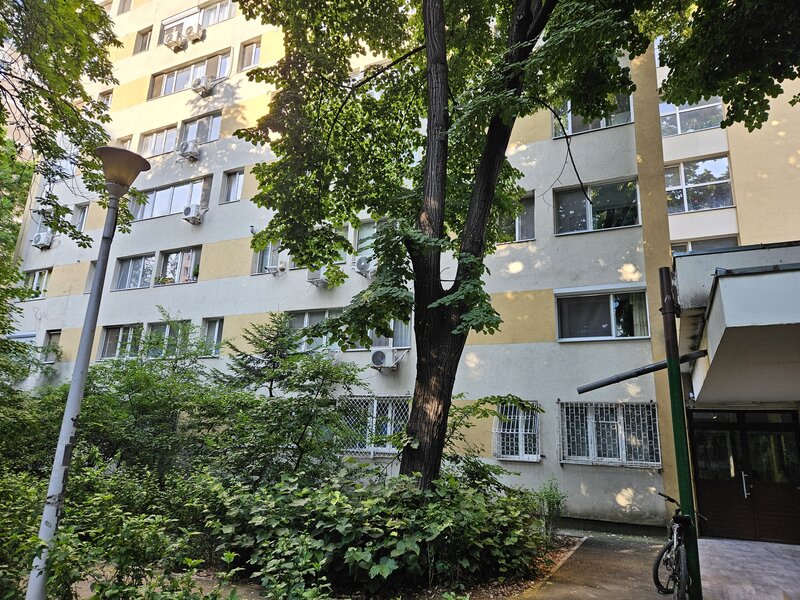 Drumul Taberei, Favorit,